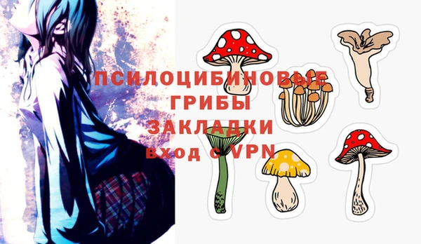 apvp Бронницы